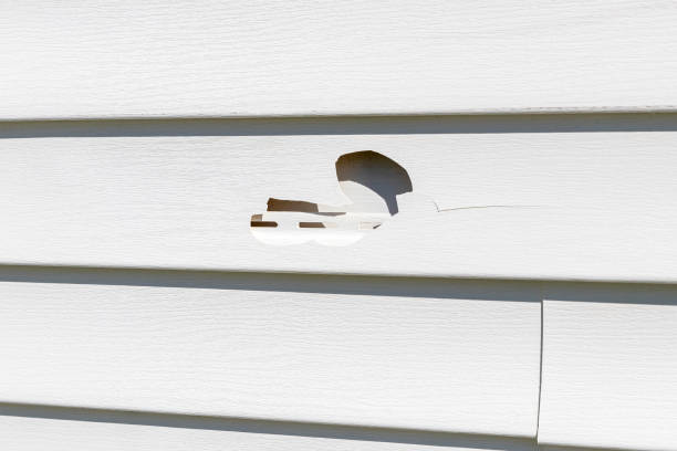 Siding Removal and Disposal in Sunnyvale, CA